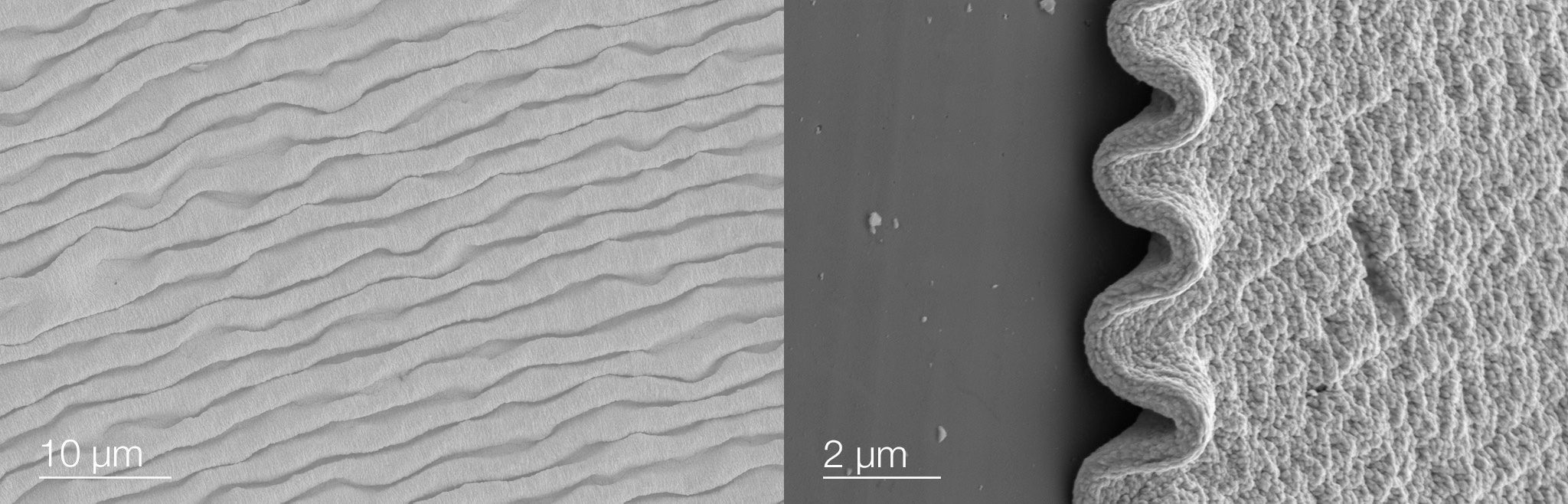 Ripple structure from electromigration of Gallium
