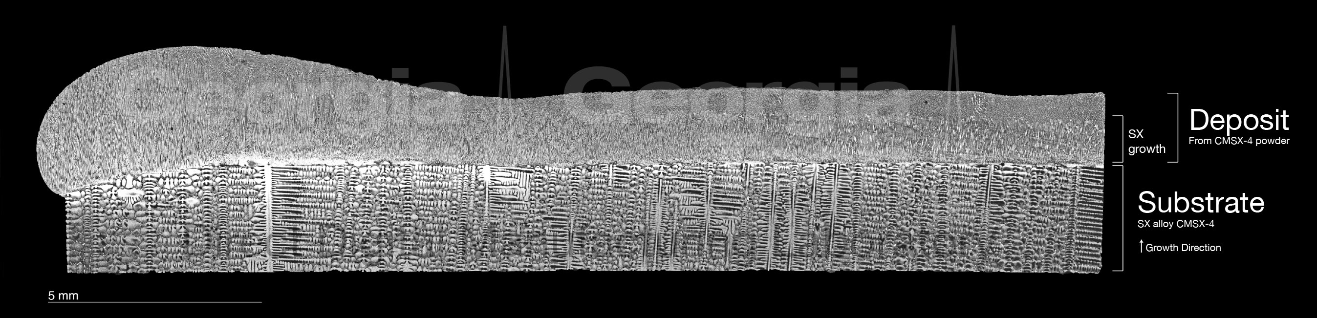 CMSX4 Superalloy Microstructure